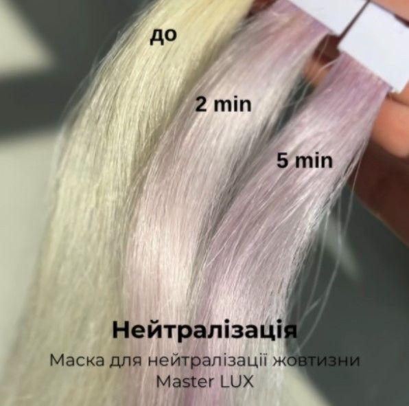 Маска для нейтрализации желтизны ANTI-YELLOW Master LUX Professional (300 мл) 90140851 фото